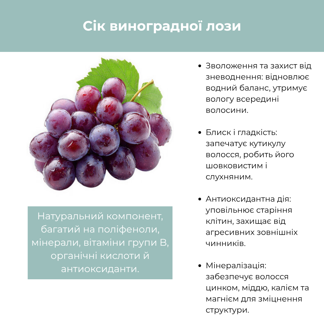 Шампунь для блиску з ламелярною технологією BIO LAMELLAR RAYWELL 275 мл