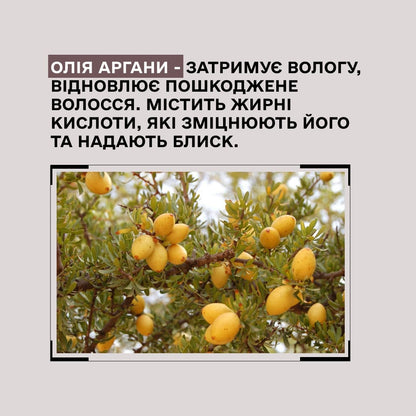Шампунь з аргановою олією Sinergy Potion D'or 250 мл