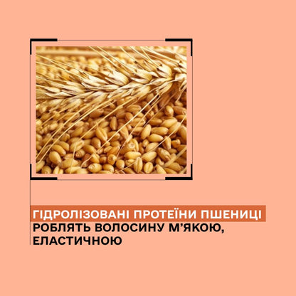 Набір для реконструкції сухого пошкодженого волосся серії Y1 Plus
