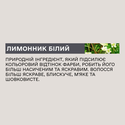 Крем-фарба для волосся Sinergy №6/37 Золотисто-коричневий 100 мл