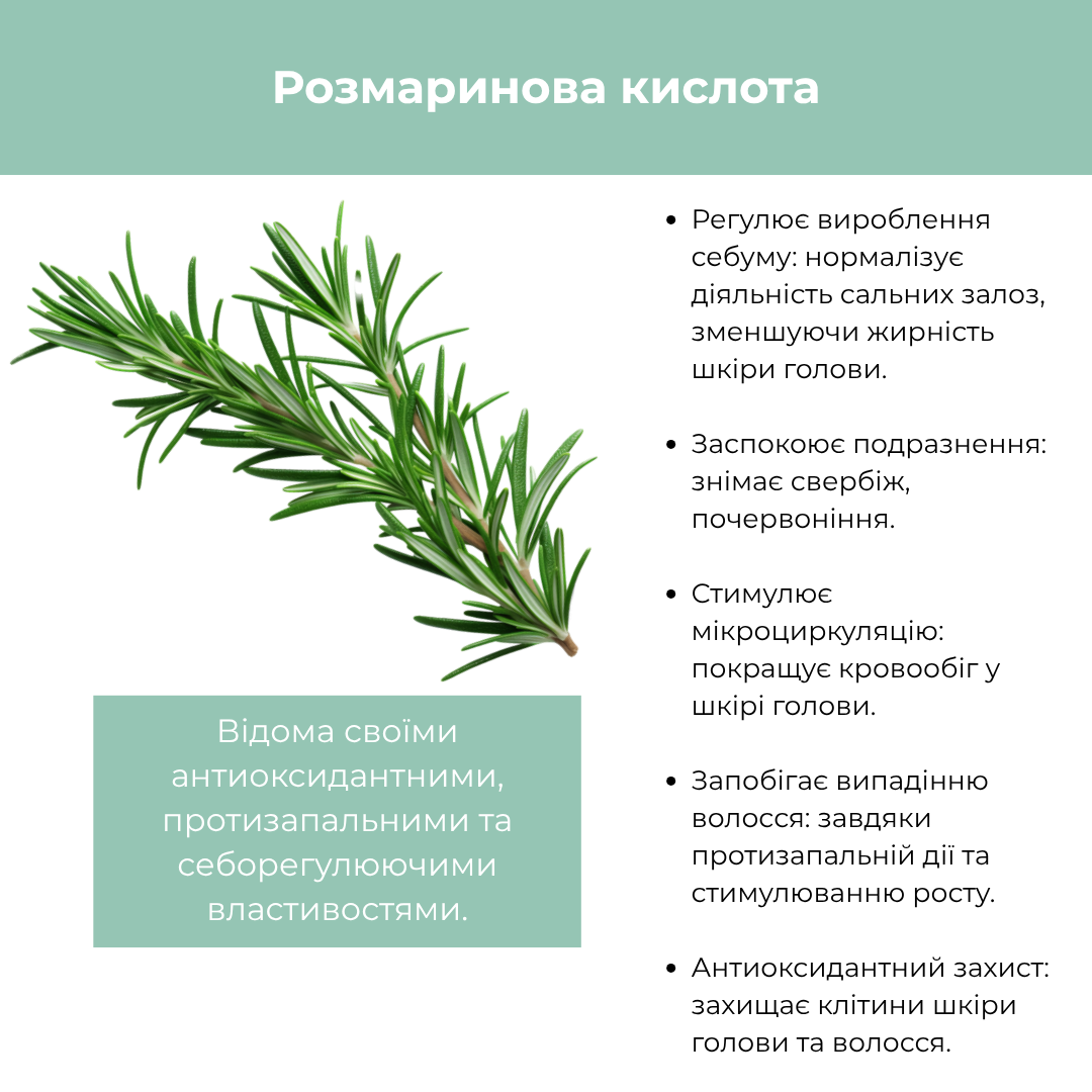 Шампунь нормалізуючий для жирної шкіри голови BIO ROSYL RAYWELL 250 мл