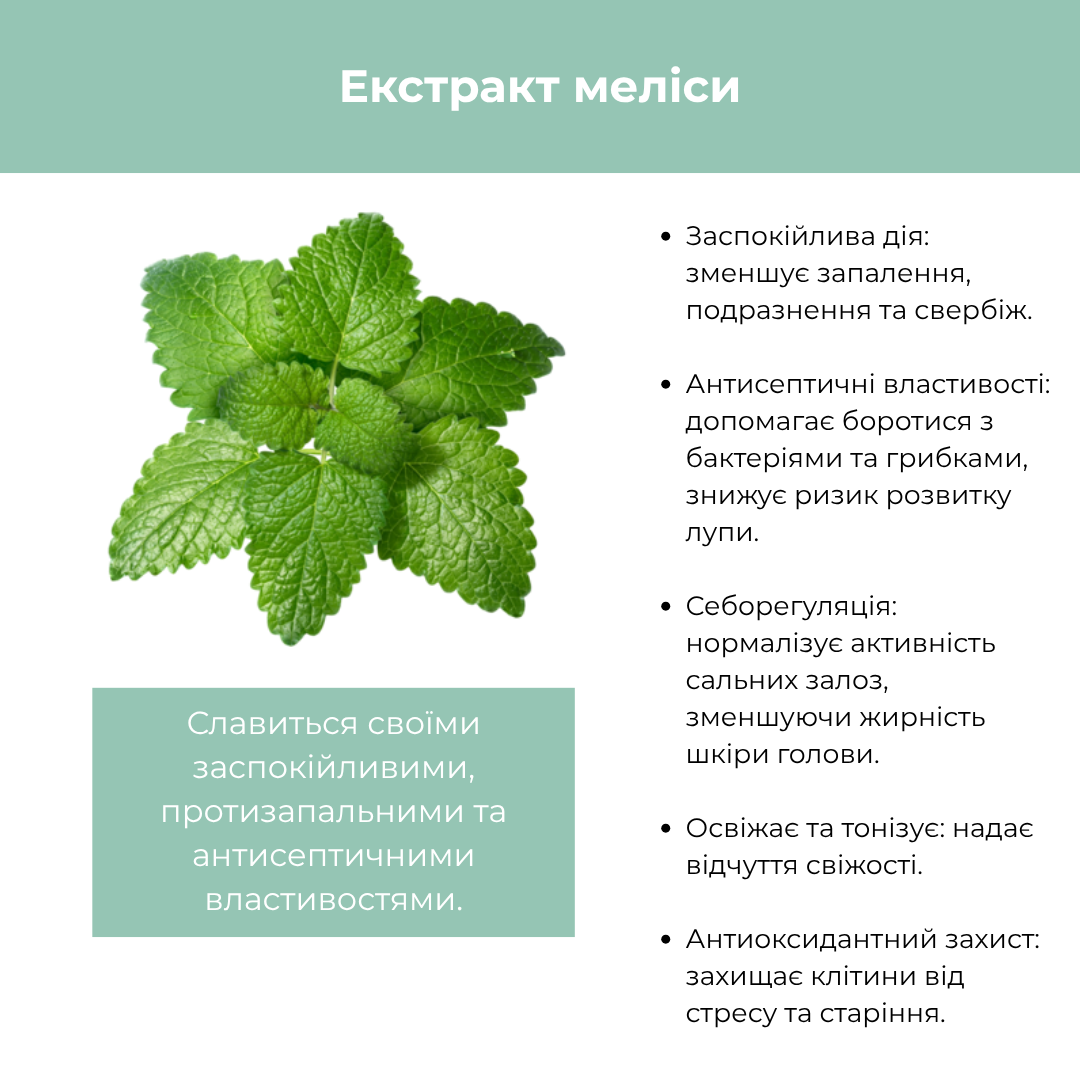 Шампунь нормалізуючий для жирної шкіри голови BIO ROSYL RAYWELL 250 мл