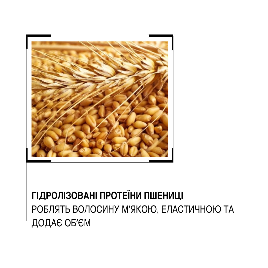 Sinergy™ Набір для об'єму тонкого волосся серії Y3 Sinergy